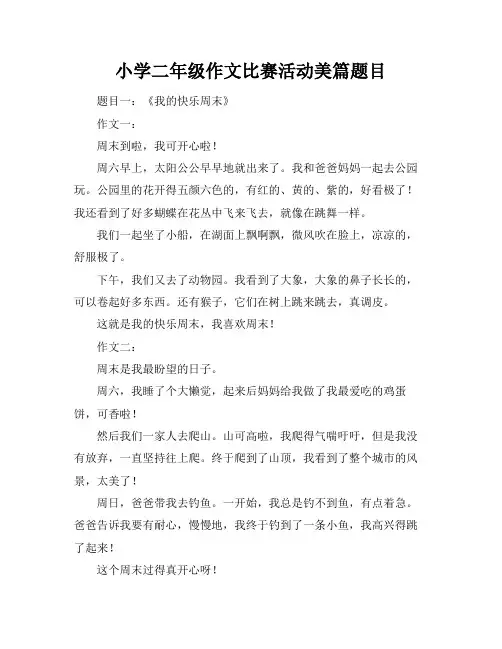 小学二年级作文比赛活动美篇题目