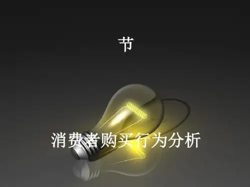 消费者购买行为分析(PPT 54张)