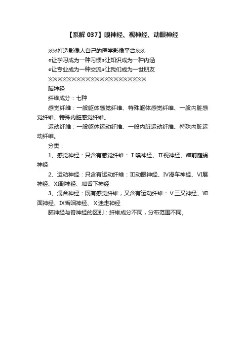 【系解037】嗅神经、视神经、动眼神经