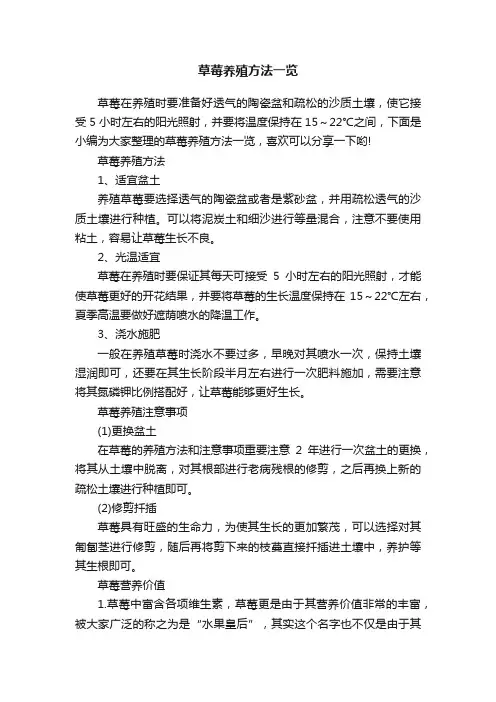 草莓养殖方法一览