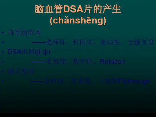 如何阅读神经系统DSA片讲课稿