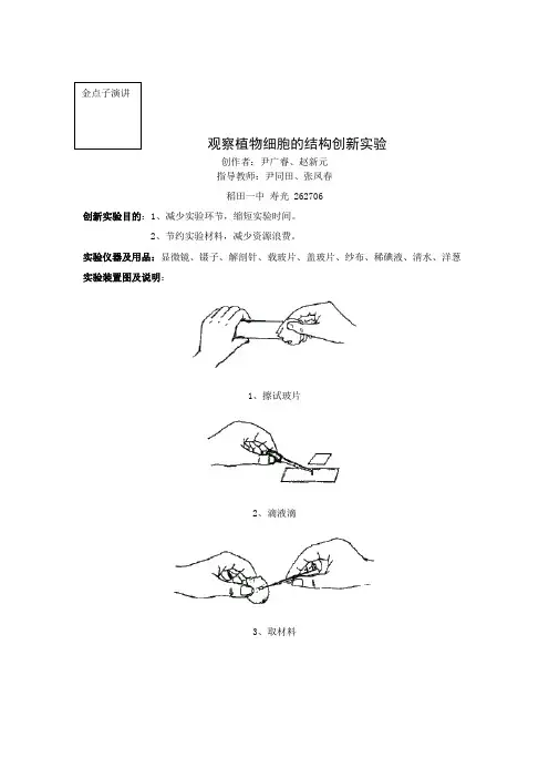 观察植物细胞的结构