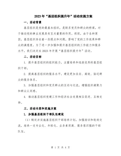 2023年“基层组织提升年”活动实施方案