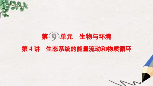 高考生物一轮复习第9单元生物与环境第4讲生态系统的能量流动和物质循环课件