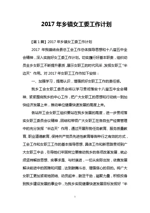 2017年乡镇女工委工作计划