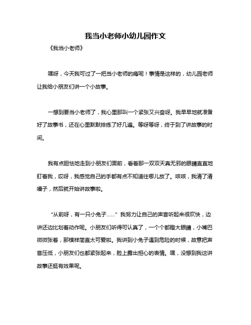 我当小老师小幼儿园作文