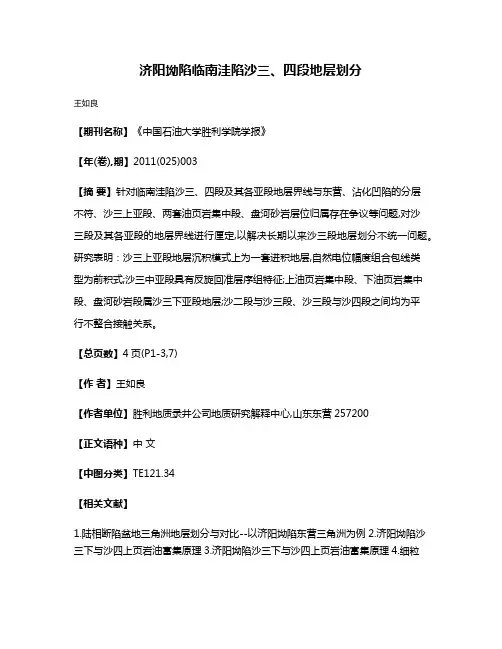 济阳坳陷临南洼陷沙三、四段地层划分