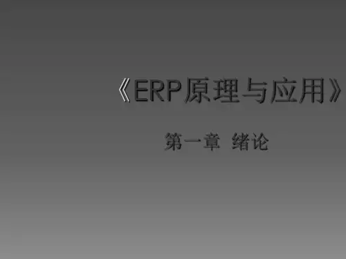 ERP原理与应用ppt课件