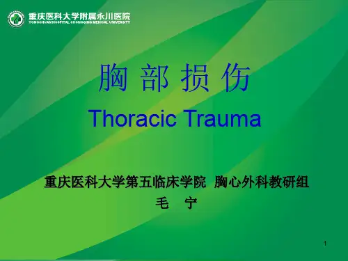 胸部损伤的诊断与治疗ppt课件