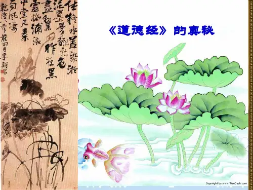 《道德经》的奥秘——课件,12页