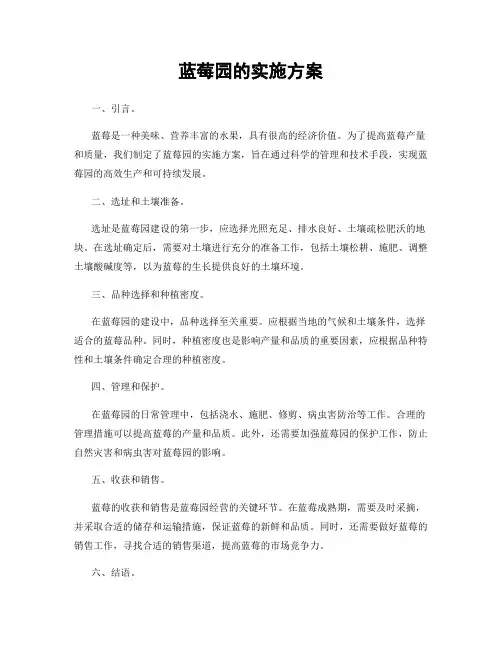 蓝莓园的实施方案