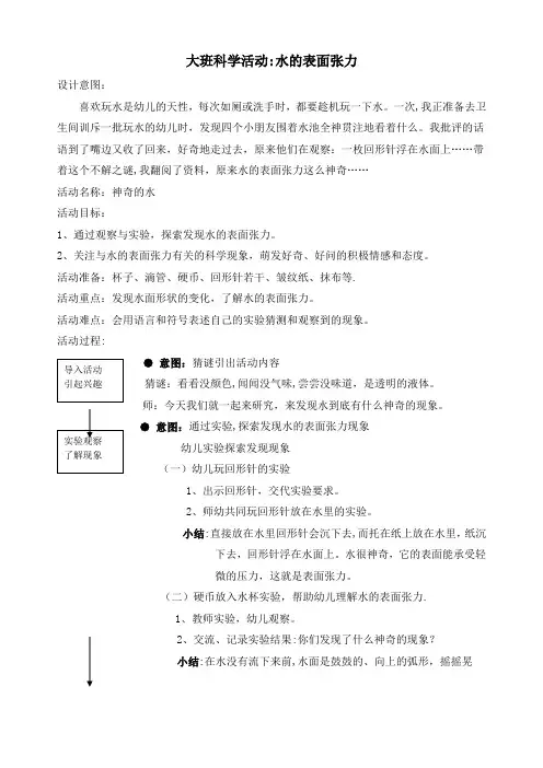 大班科学：水的表面张力