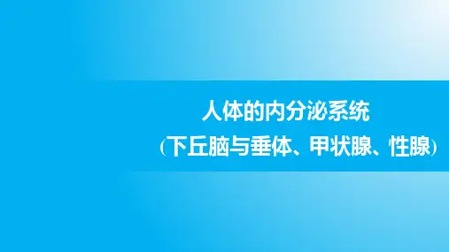 高中生物PPT课件人体的内分泌系统(下丘脑与垂体、甲状腺、性腺)