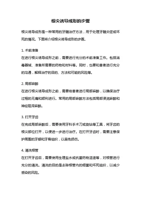 根尖诱导成形的步骤