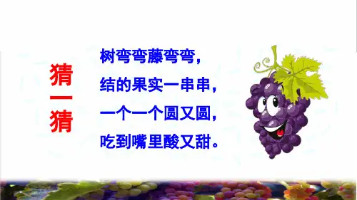 部编版二年级语文上册第四单元第11课《 葡萄沟》PPT课件