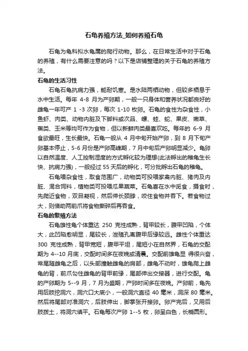 石龟养殖方法_如何养殖石龟