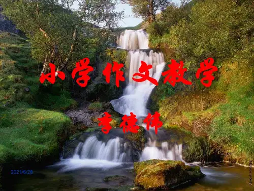 小学作文教学PPT