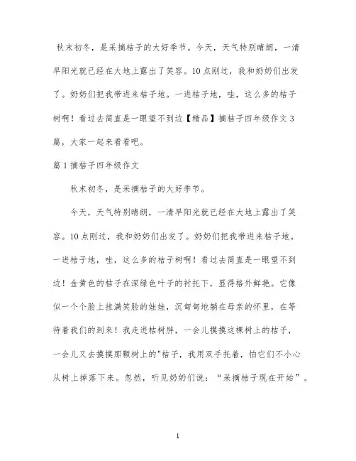 【精品】摘桔子四年级作文3篇