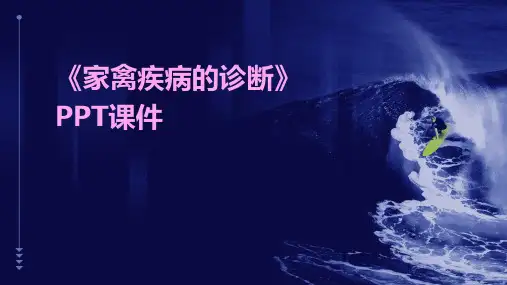 《家禽疾病的诊断》课件