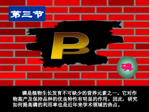 中国农业大学_864植物营养学_《植物营养学(上)》陆景陵_第三节_磷