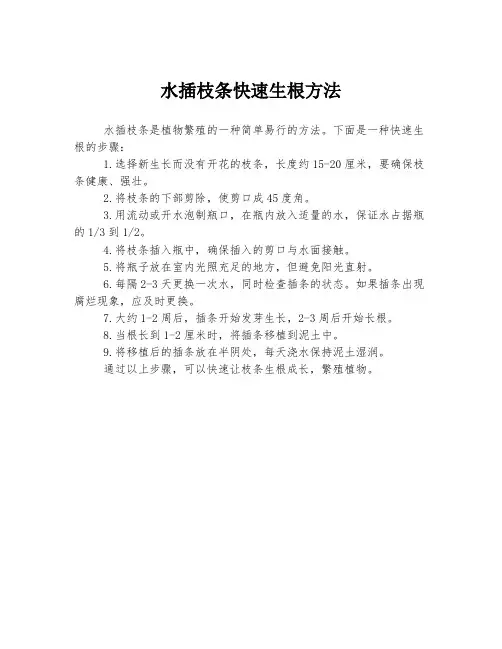 水插枝条快速生根方法
