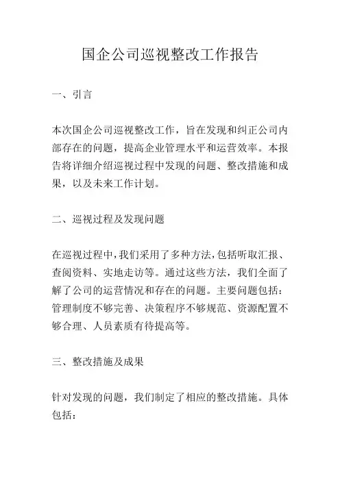 国企公司巡视整改工作报告