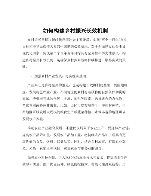 如何构建乡村振兴长效机制