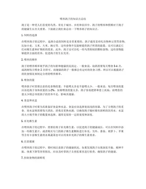 喂养鸽子的知识点总结