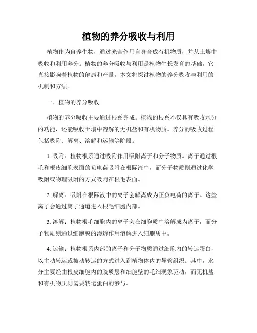 植物的养分吸收与利用