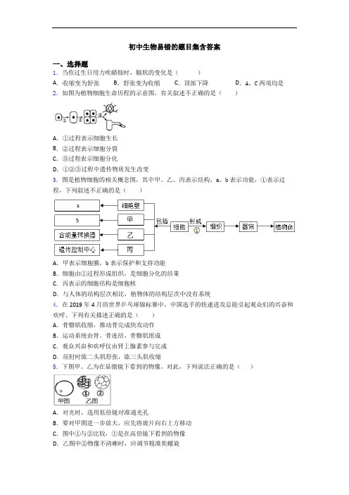 初中生物易错的题目集含答案