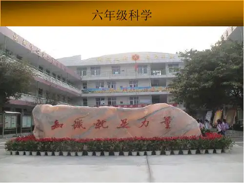 教科版科学《拱形的力量》优秀PPT推荐1