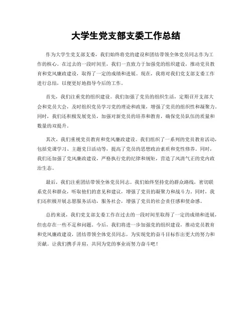大学生党支部支委工作总结