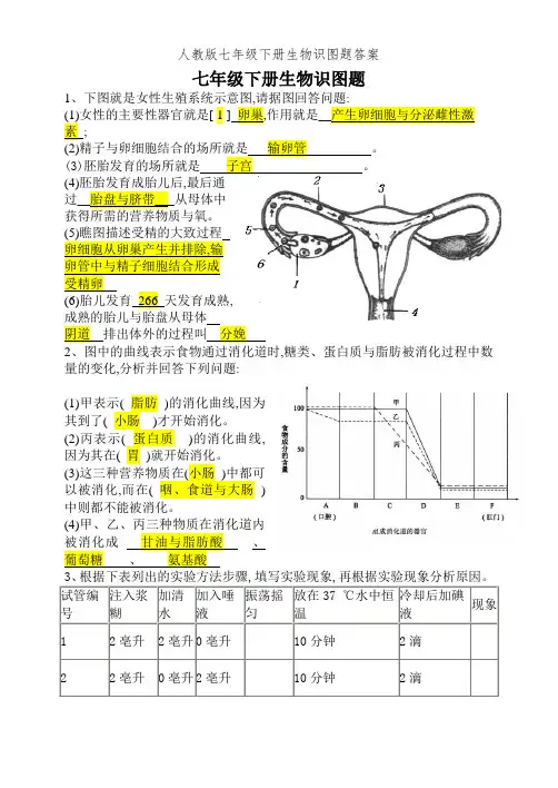 人教版七年级下册生物识图题答案
