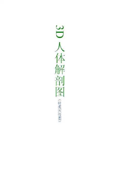 3D人体解剖图(针炙穴位图)