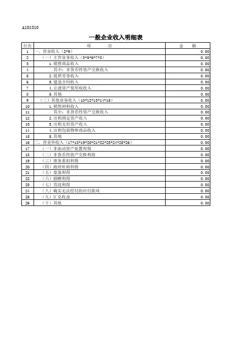 A101010一般企业收入明细表