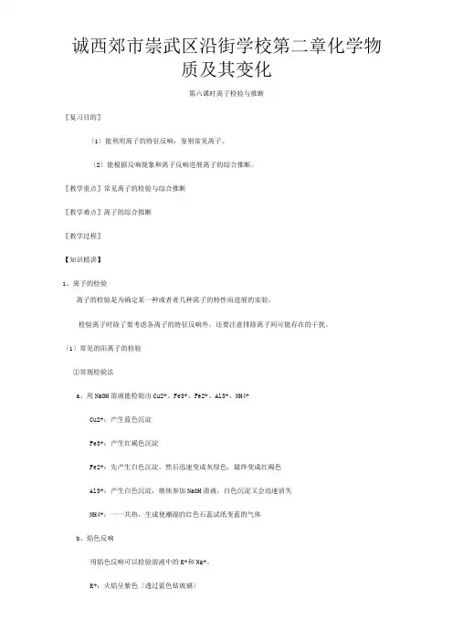 高三化学一轮复习  离子检验推断教学设计高三全册化学教案