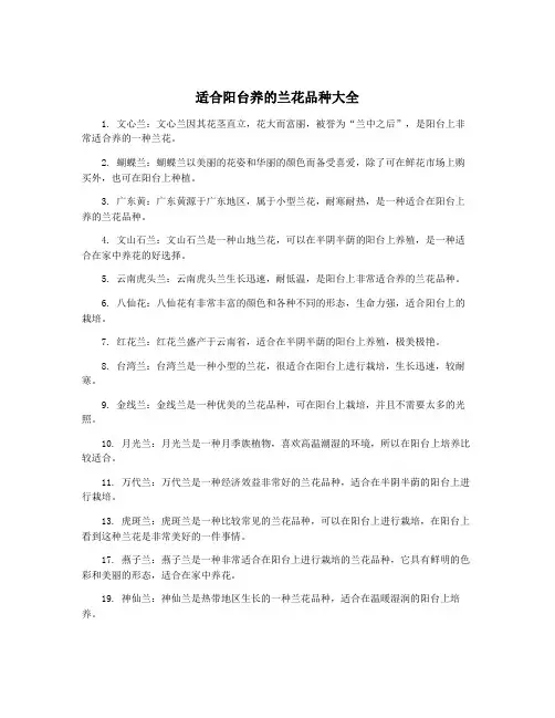 适合阳台养的兰花品种大全