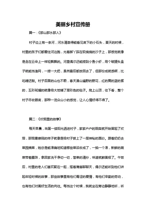 美丽乡村宣传册