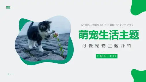 可爱萌宠生活主题介绍PPT模板