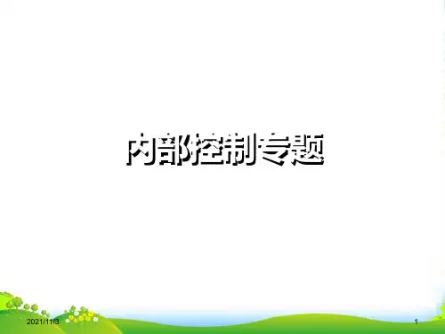 内部控制专题(PPT 47页).ppt
