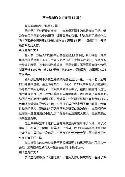 茶卡盐湖作文（通用15篇）
