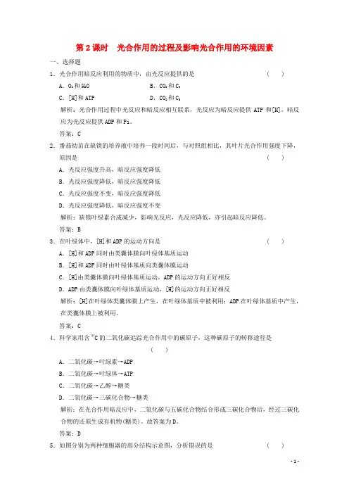 高中生物 第四章第二节 第2课时 光合作用的过程及影响光合作用的环境因素练习(含解析)苏教版必修1