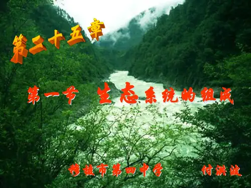 初中生物  生态系统的组成 苏教版精品课件