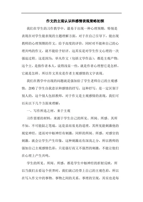 作文的主观认识和感情表现策略初探