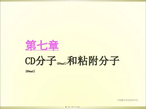 白细胞分化抗原华农课件