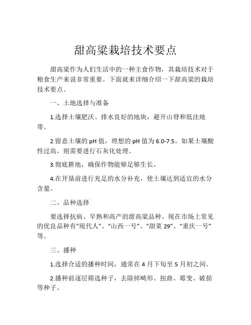 甜高粱栽培技术要点