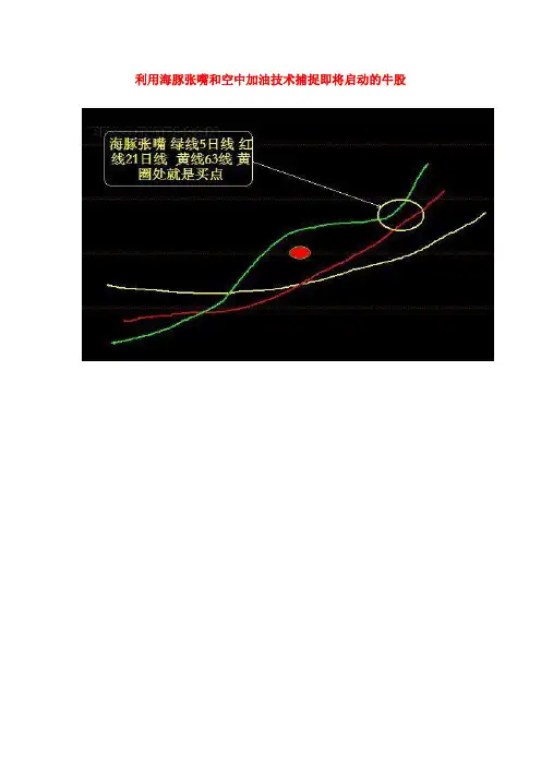利用海豚张嘴和空中加油技术捕捉即将启动的牛股--转载新浪博客