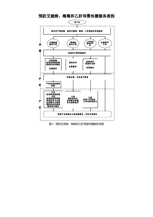 预防艾滋病梅毒乙肝母婴传播服务流程WORD 文档