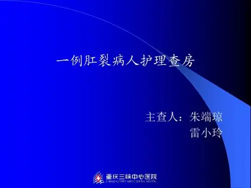 十二经络