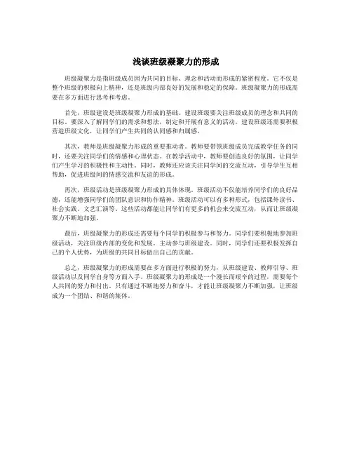 浅谈班级凝聚力的形成